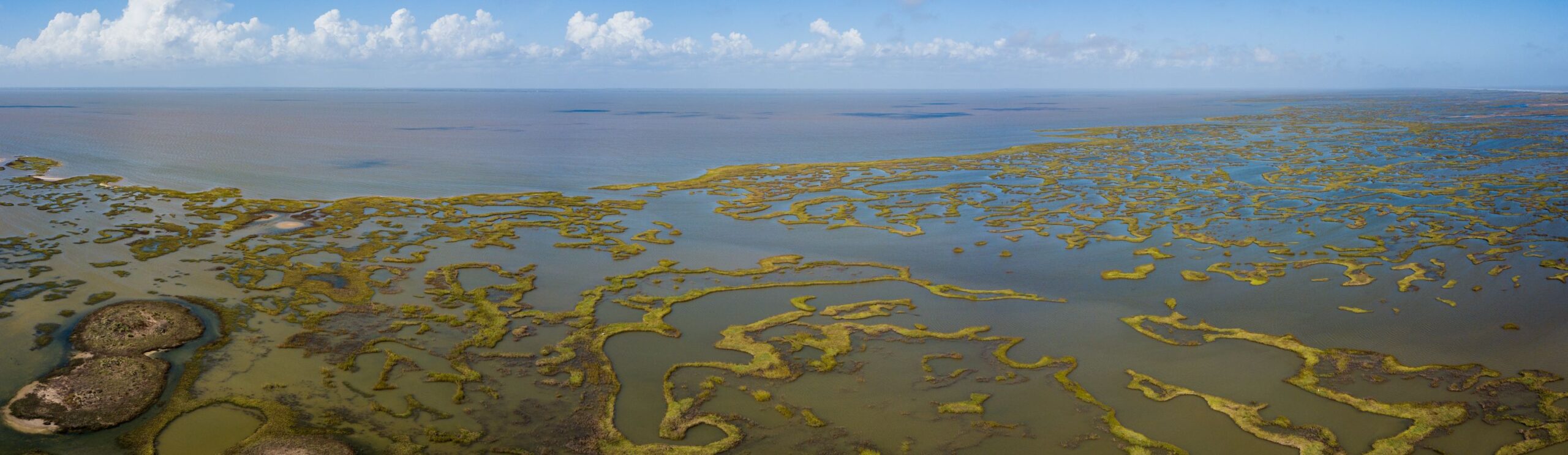 Matagorda Peninsula - Texas Parks and Wildlife Foundation